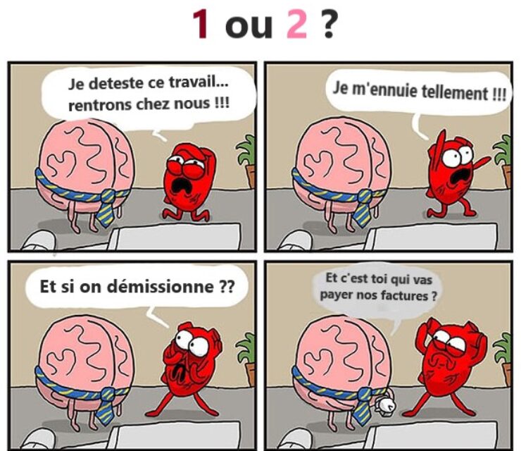 Faire ce que l’on aime ou aimer ce que l’on fait ?